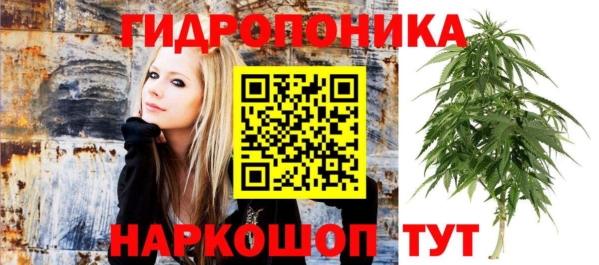 Котельники  Бошки Шишки VHQ  Бошки марихуана ГИДРОПОН  Канабис AK-47  Вход с VPN  Бошки марихуана марихуана 